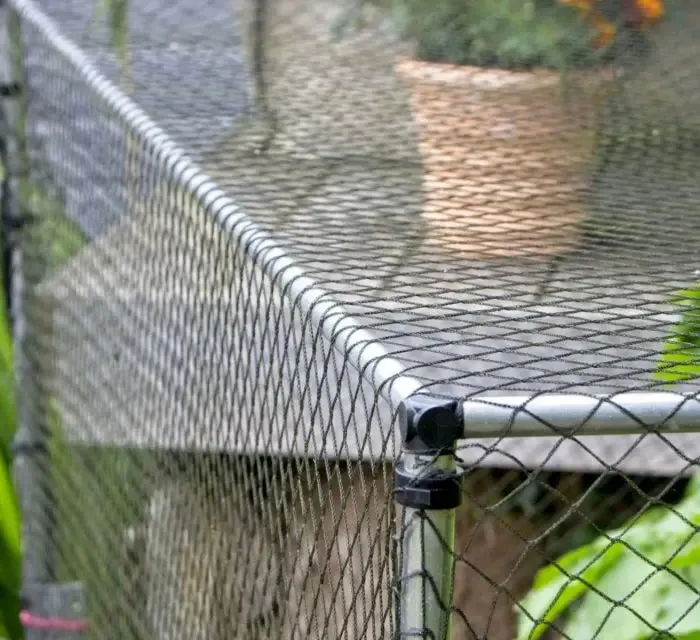 700mm Erected Height x 900mm Width - Black Bird Netting - Vaious Lengths