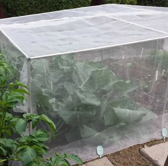 700mm Erected Height x 900mm Width - Veggiemesh Insect Netting - Vaious Lengths