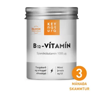 B12 Vitamin - 90 Capsules