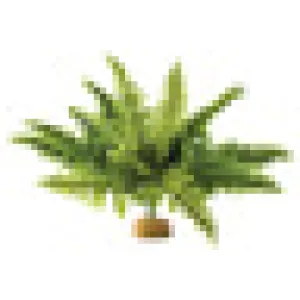 Exo Terra Boston Fern Plant Medium