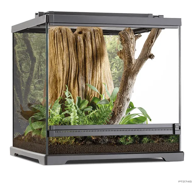 Exo Terra Dart Frog Terrarium.Amphibian Habitat 45 x 45 x 45 cm