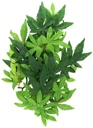 Exo Terra Hanging Silk Abutilon - Medium