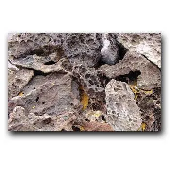 Feller Stone Lace Rock - 50 lb - Sold by the Pound - Pack of 50 lbs