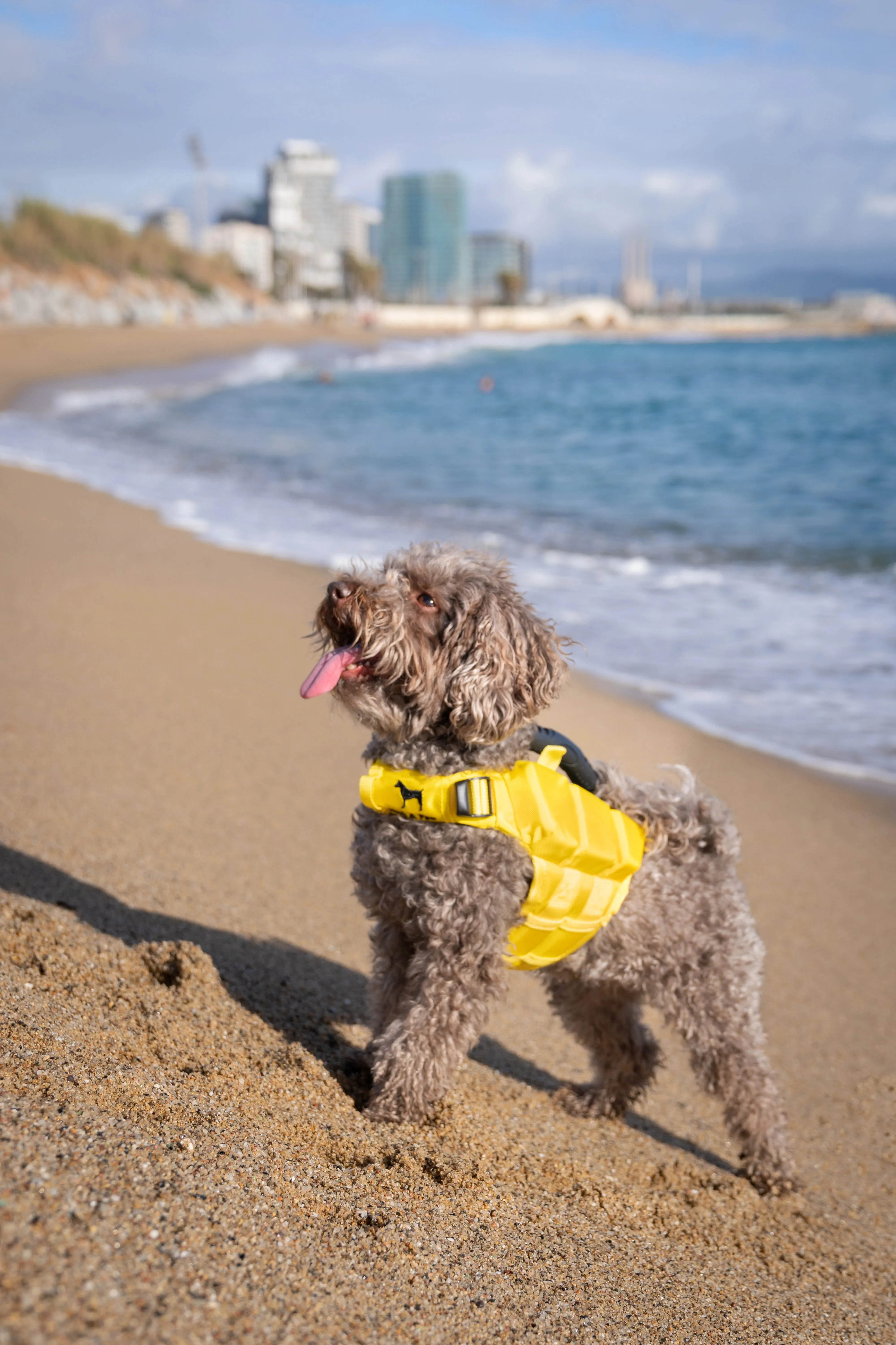 Human Standards Dog Lifejacket Design with 3x Foam for Maximum Buoyancy, Stability & Comfort - Yellow