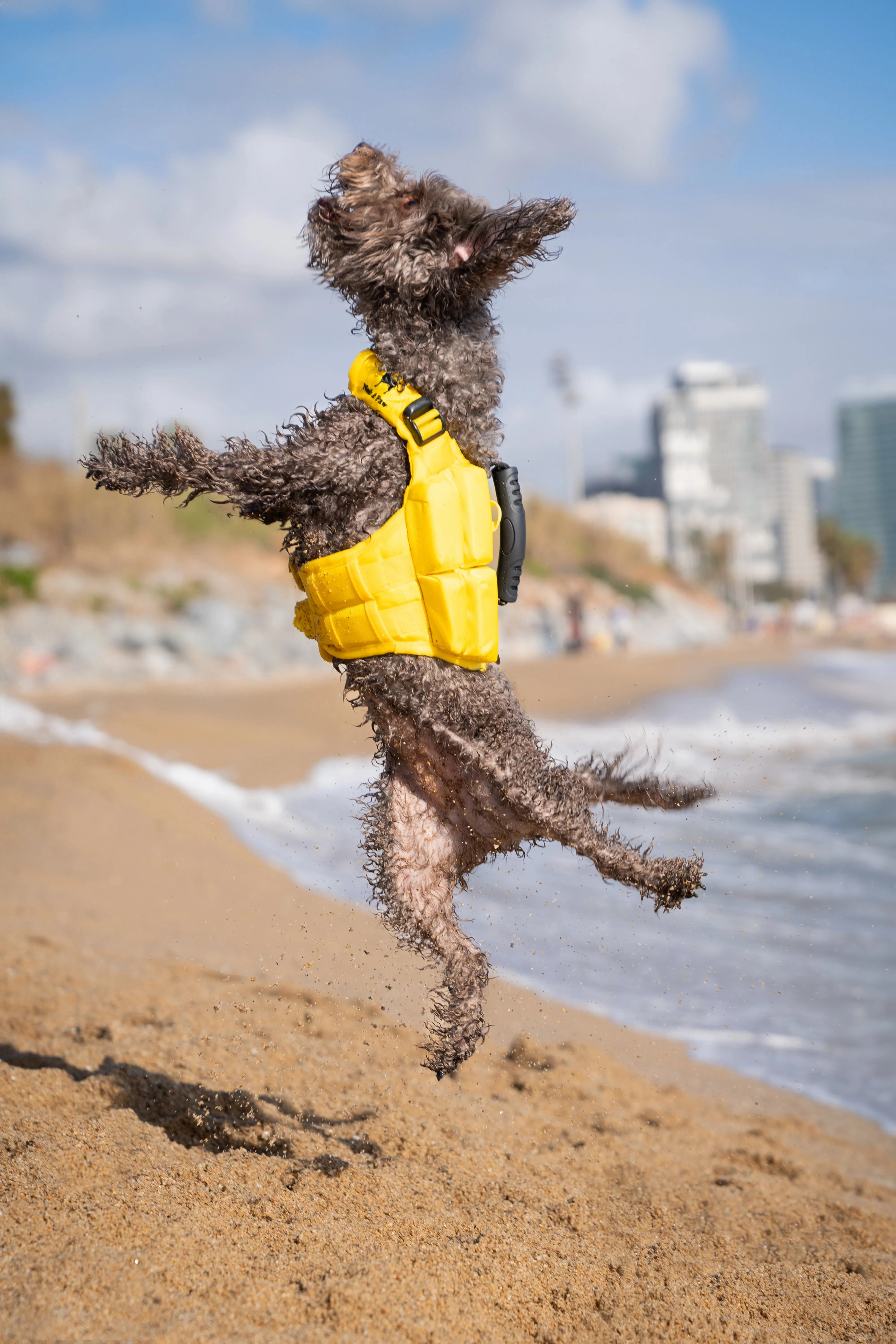Human Standards Dog Lifejacket Design with 3x Foam for Maximum Buoyancy, Stability & Comfort - Yellow