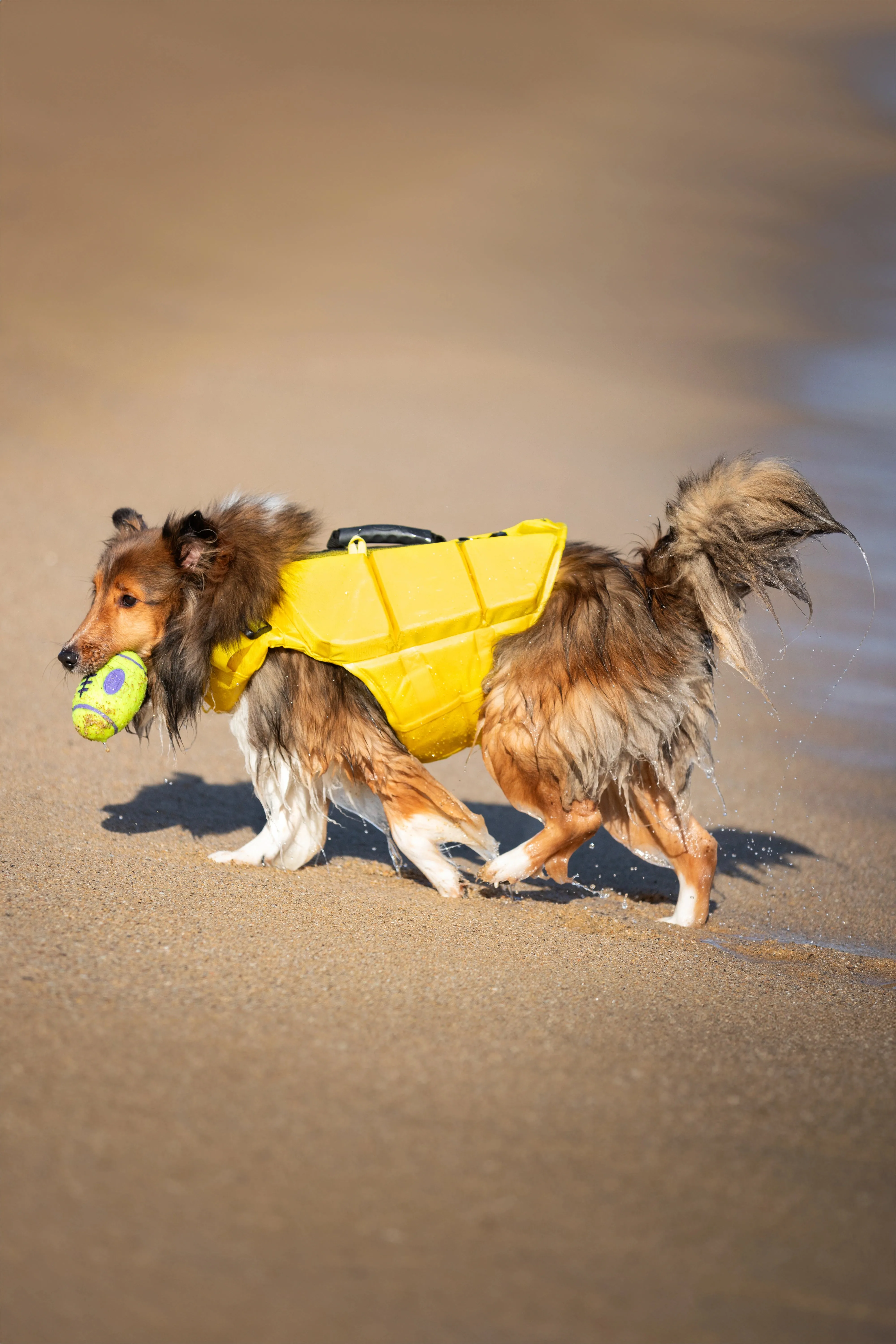 Human Standards Dog Lifejacket Design with 3x Foam for Maximum Buoyancy, Stability & Comfort - Yellow