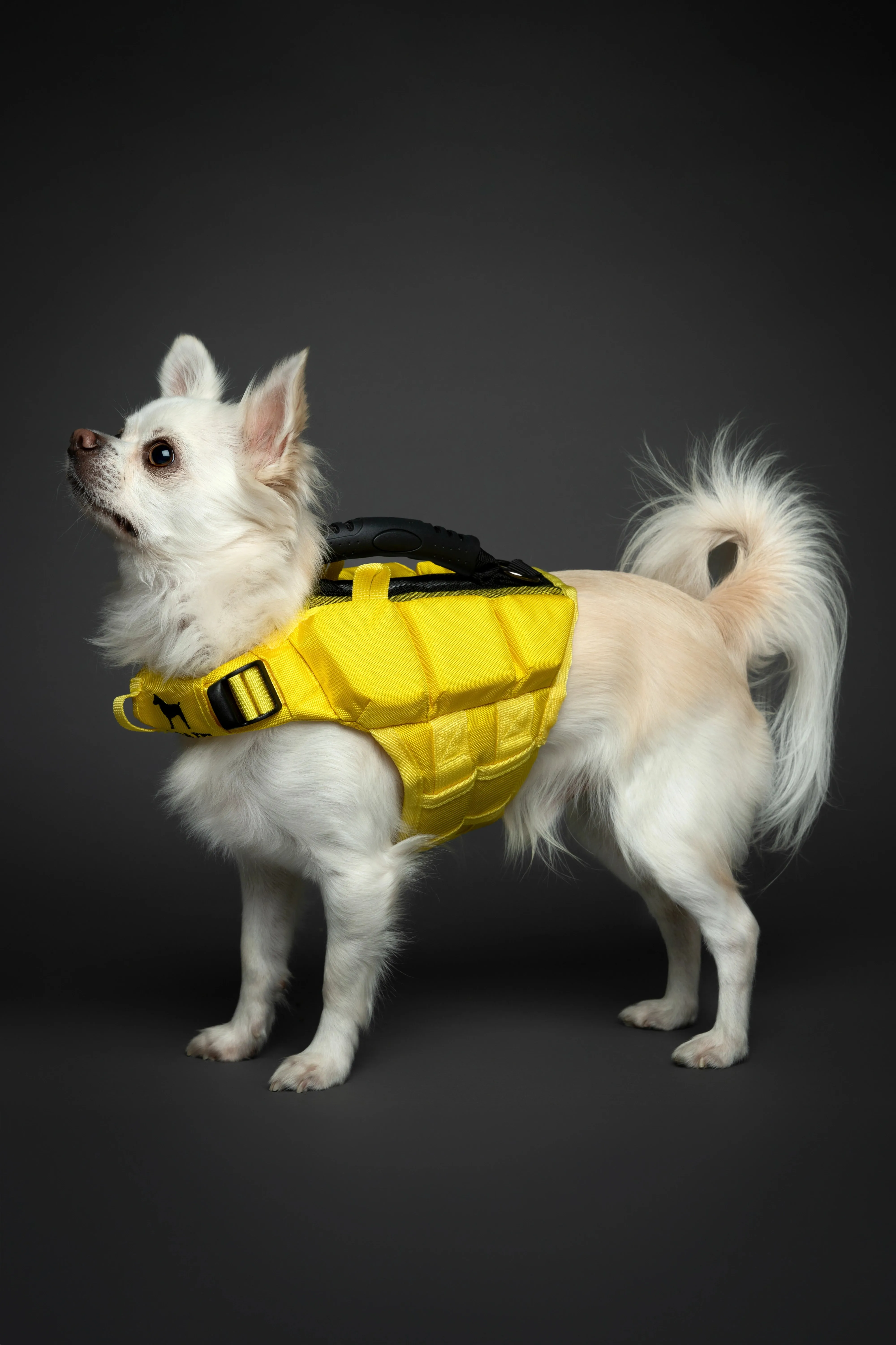 Human Standards Dog Lifejacket Design with 3x Foam for Maximum Buoyancy, Stability & Comfort - Yellow