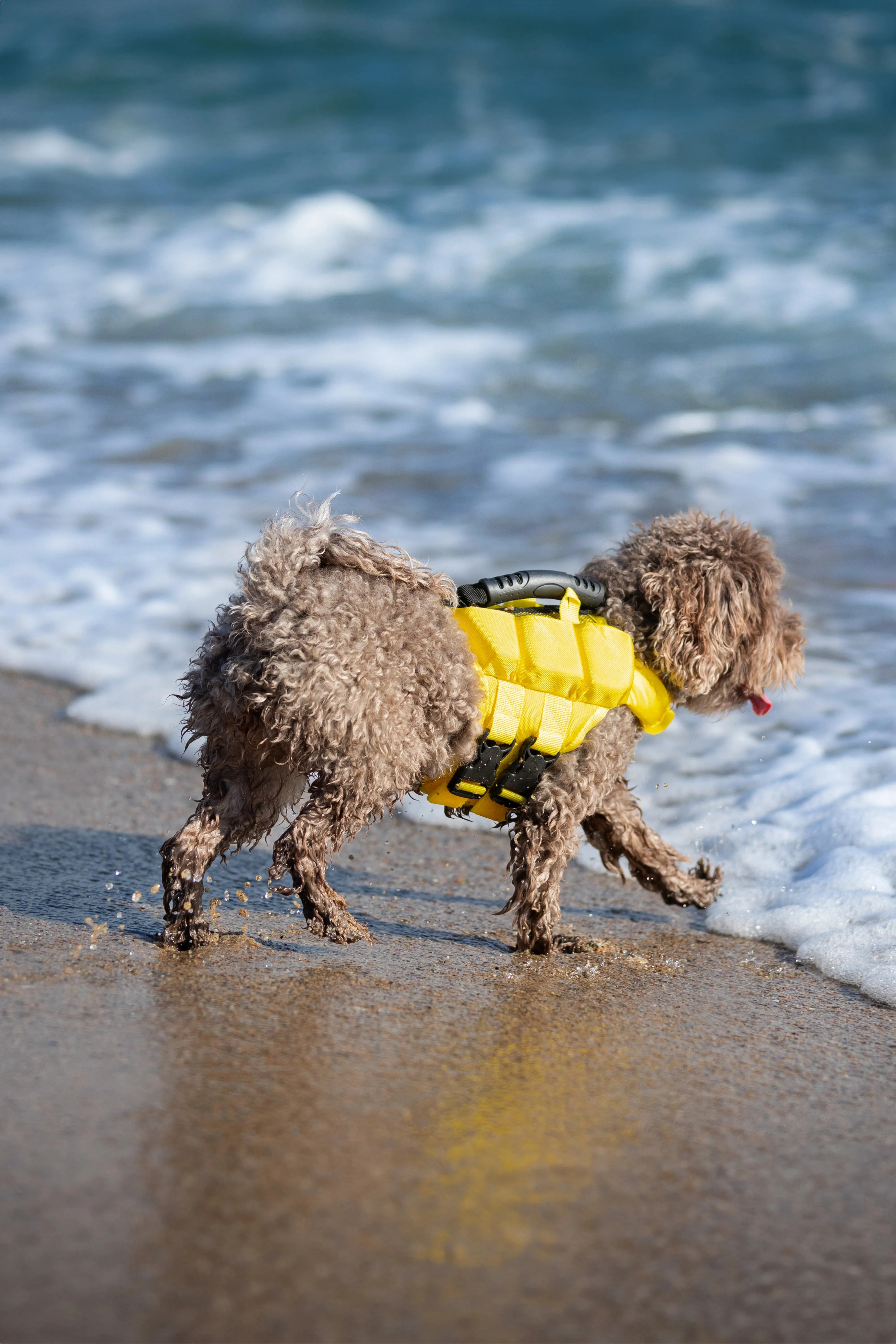 Human Standards Dog Lifejacket Design with 3x Foam for Maximum Buoyancy, Stability & Comfort - Yellow