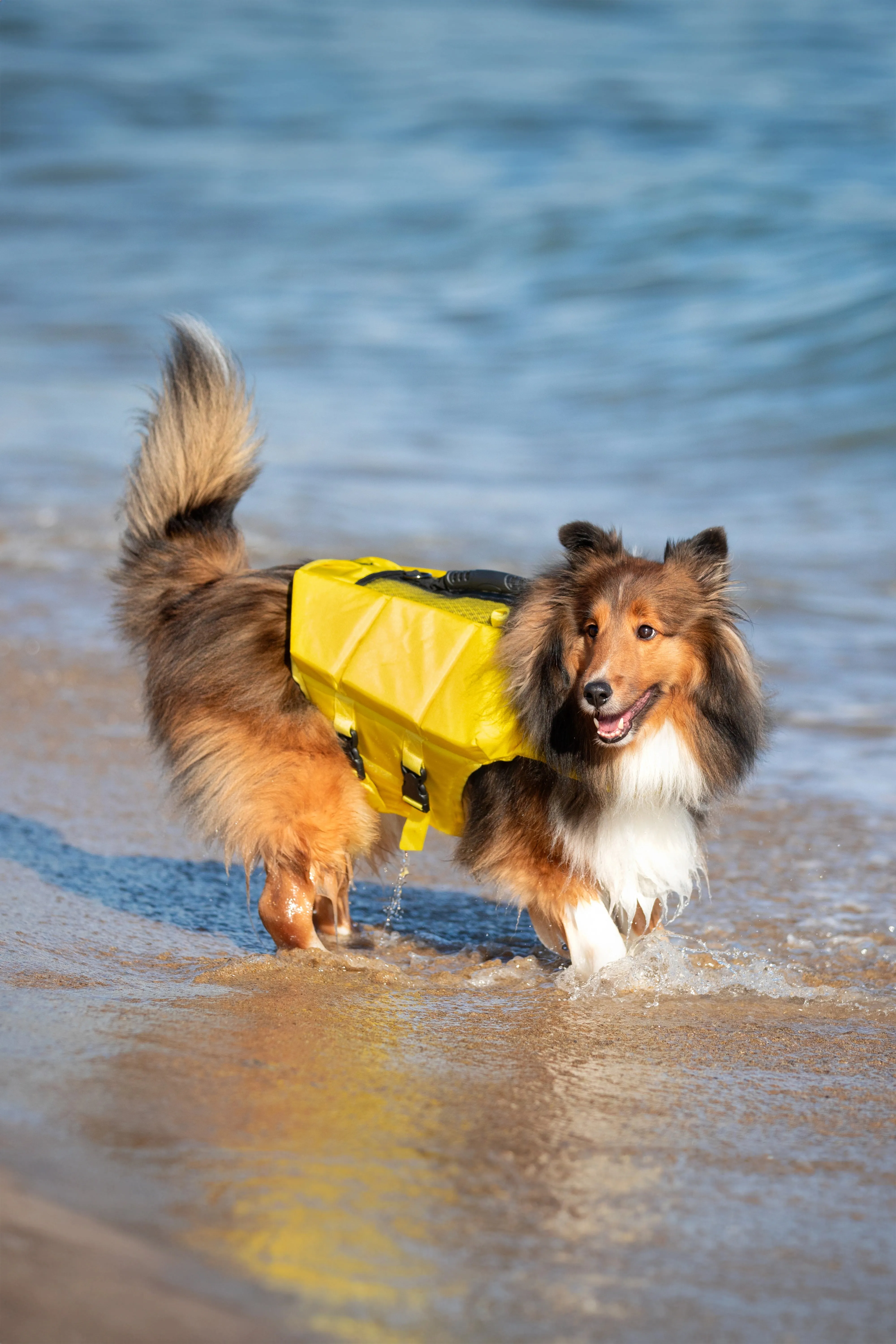 Human Standards Dog Lifejacket Design with 3x Foam for Maximum Buoyancy, Stability & Comfort - Yellow
