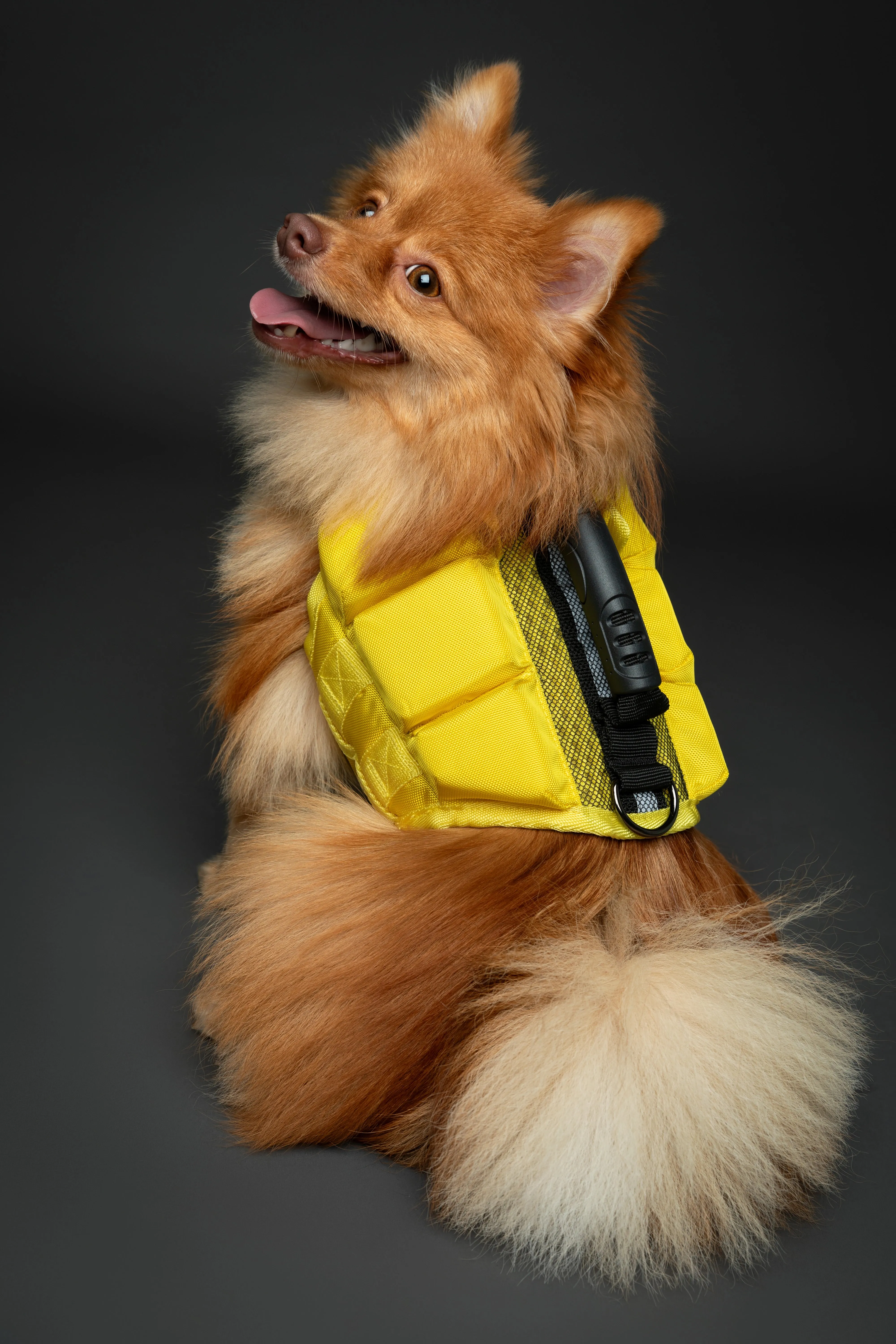 Human Standards Dog Lifejacket Design with 3x Foam for Maximum Buoyancy, Stability & Comfort - Yellow