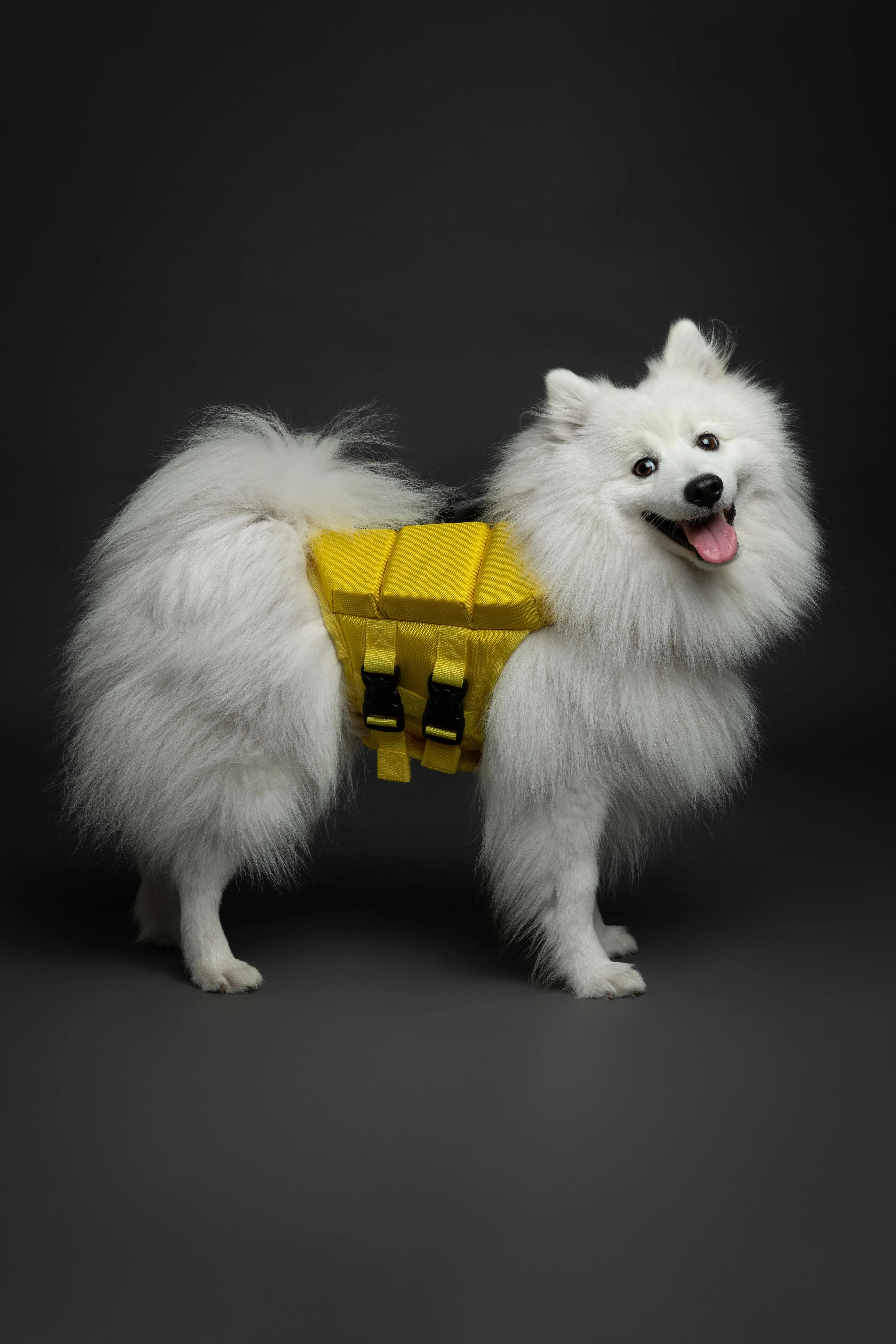 Human Standards Dog Lifejacket Design with 3x Foam for Maximum Buoyancy, Stability & Comfort - Yellow