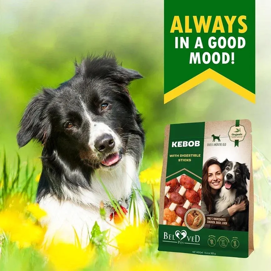 Kabobs Dog Treats with Duck & Chicken Human Grade Meat All Natural & Organic