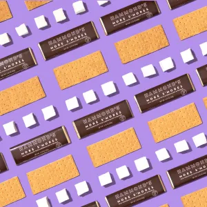 More S'mores Milk Chocolate Candy Bar  2.25oz