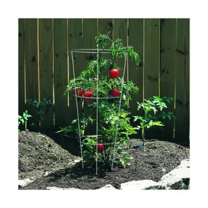 Plastic Flower Cages for plant support - Hydroponic Accessories / Plant Support