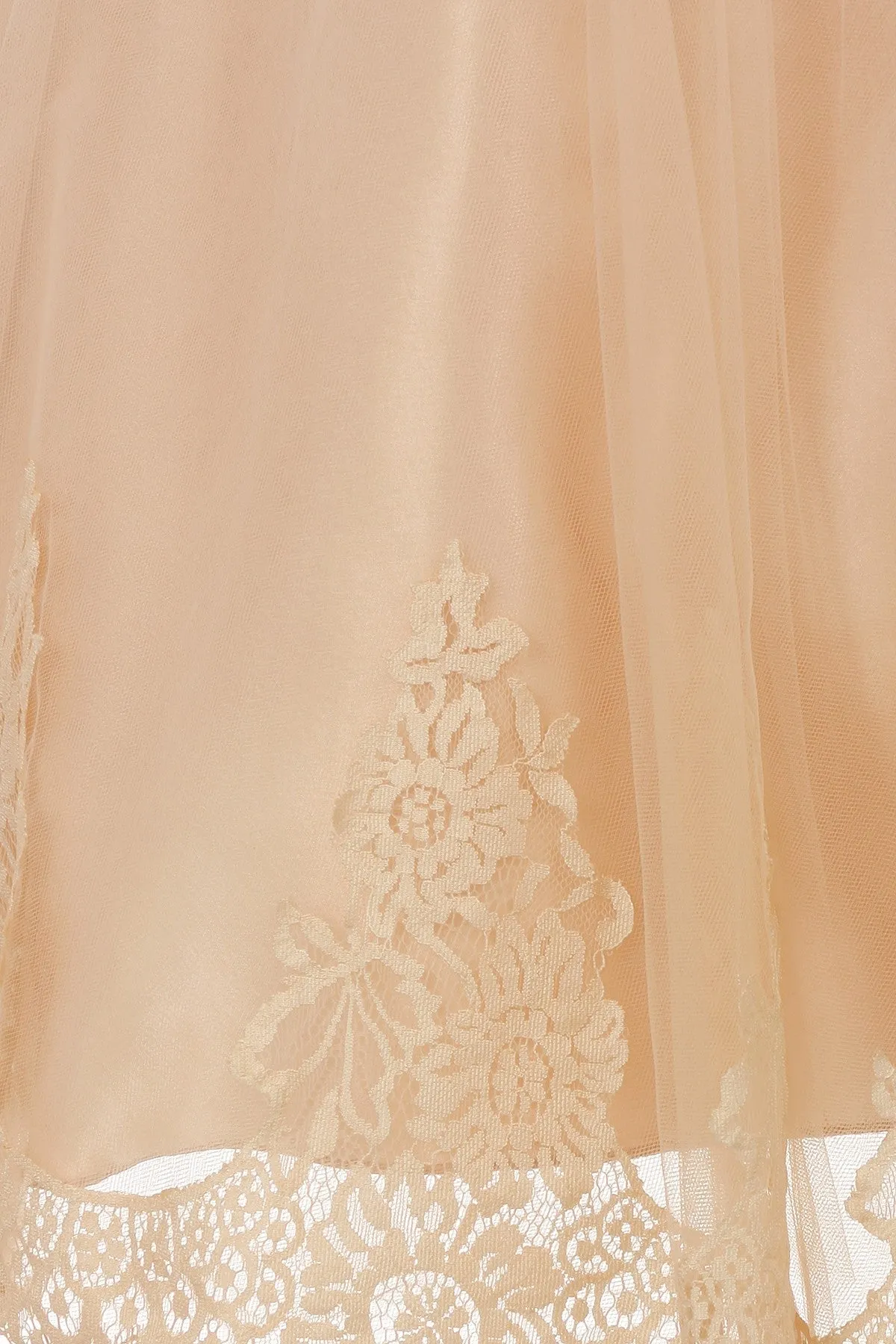 Vintage Rose Lace Appliqué Illusion Bateau Girls Dress with Plus Sizes